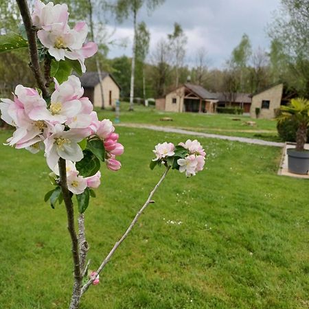 Gite Classe Deux Etoiles Gite De France N 17 Signy-Le-Petit Eksteriør bilde